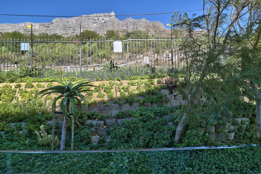 7 Bedroom Property for Sale in Higgovale Western Cape